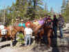 Everybody except Tom who was seeing a man about a horse, sorry Tom