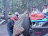 Lee leaving Mallard Lake
