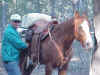 Bill packing up and getting ready for the ride out on the last day from Mallard Lake
