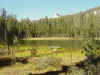 Nice shot of Mallard Lake. Is that a place to build a mall or what?