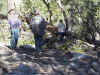 Lee and Jim watching , Tom and Sam and someone else cutting the tree so we could move it and continue on at our quick pace.