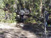 The tree that was blocking the trail about  mile out of East Lake, Thanks Sam for cutting it for us
